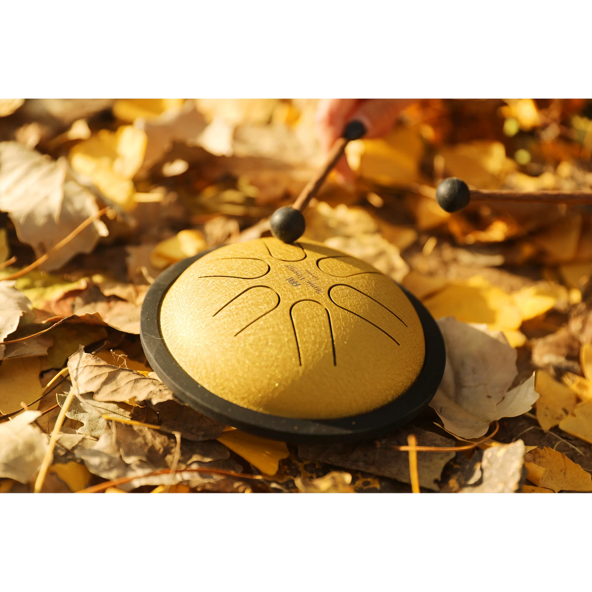 Meinl Sonic Energy Mini Steel Tongue Drum - B Major - Gold