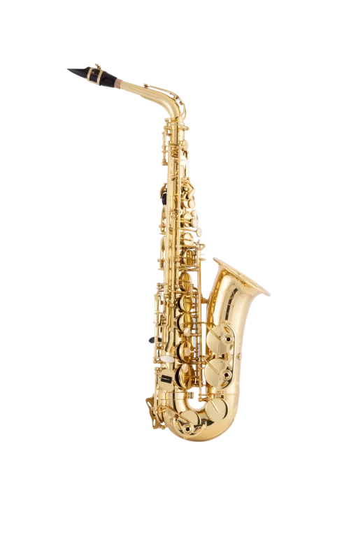 Selmer Paris 52AXOS Professional Alto Saxophone