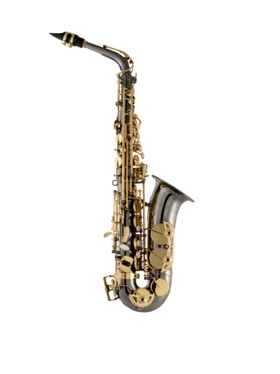 Selmer SAS511b Intermediate Alto Saxophone - Black Nickel Finish