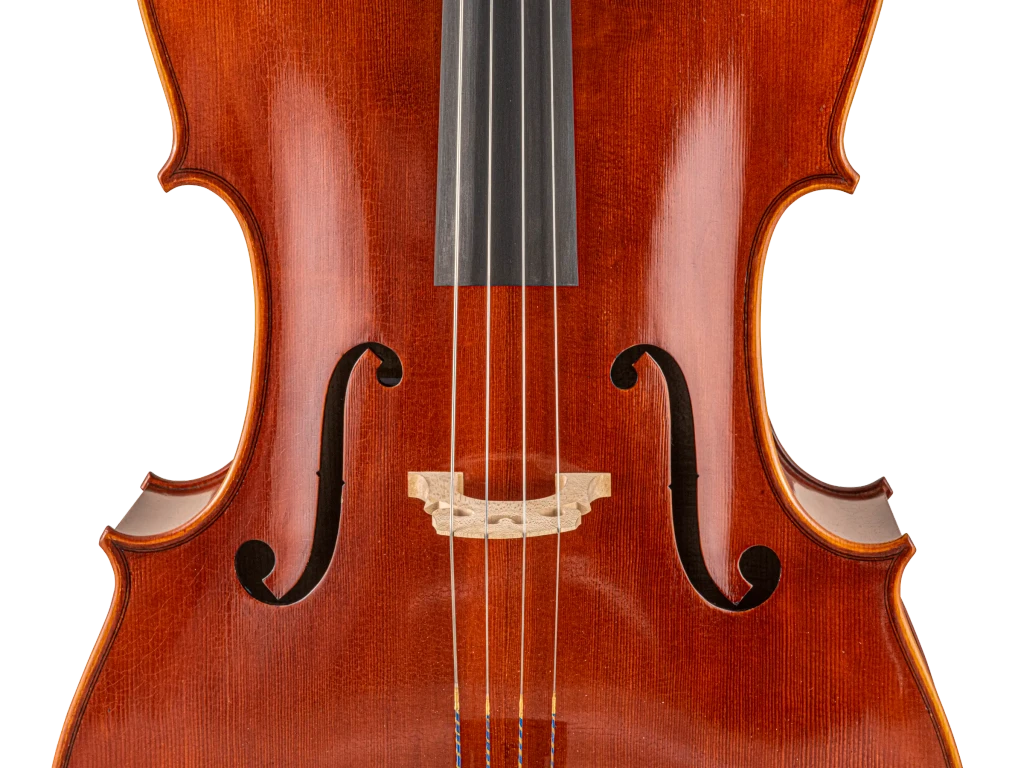 Scherl & Roth SR65E4H 4/4 Cello Outfit