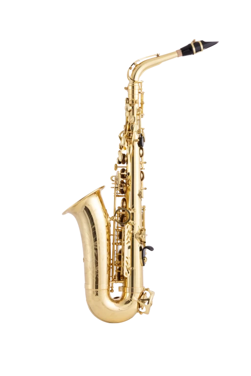 Selmer Paris 52AXOS Professional Alto Saxophone