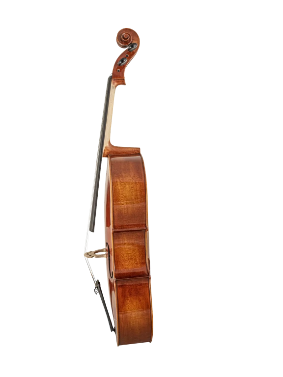 Scherl & Roth SR65E4H 4/4 Cello Outfit