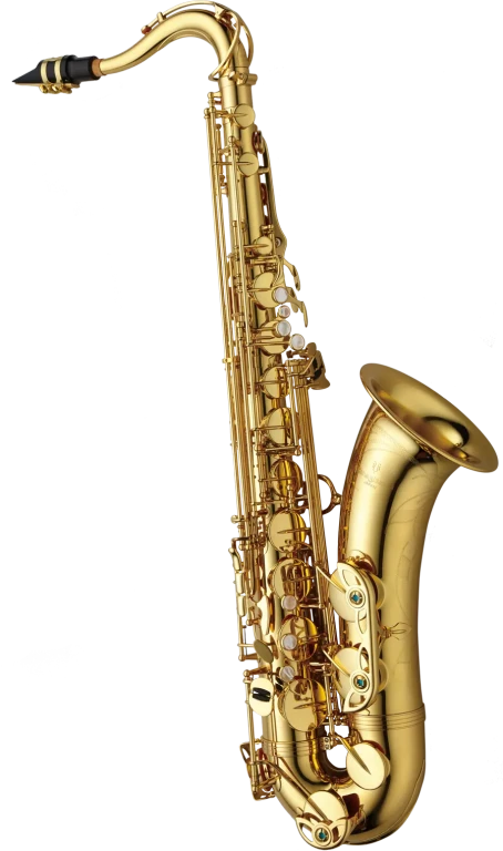 Yanagisawa Professional Tenor Saxophone in B♭ - TWO1