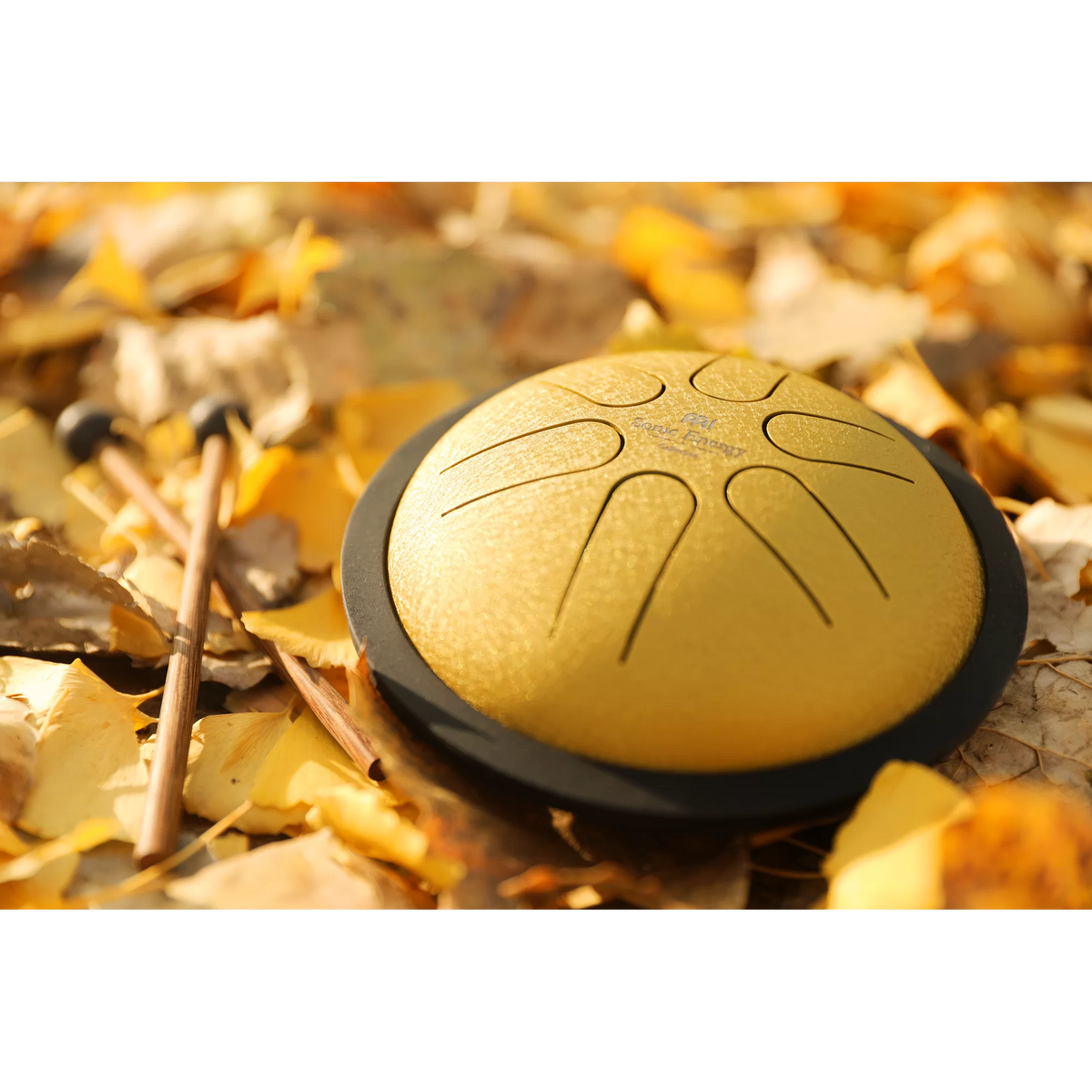 Meinl Sonic Energy Mini Steel Tongue Drum - B Major - Gold