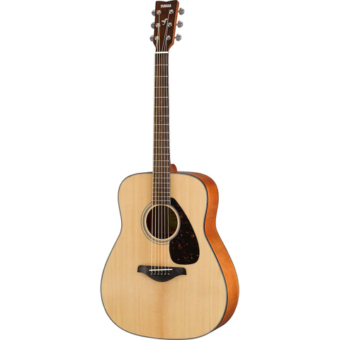 FG800 Concert Acoustic Guitar in Natural