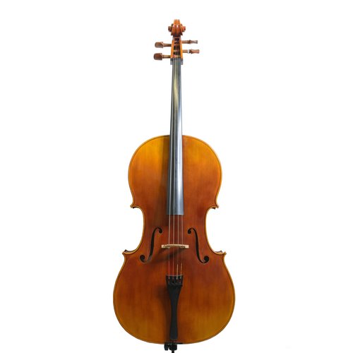Snow SC100 4/4 Cello Outfit