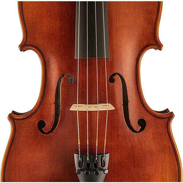Scherl & Roth SR62E16H Viola Outfit