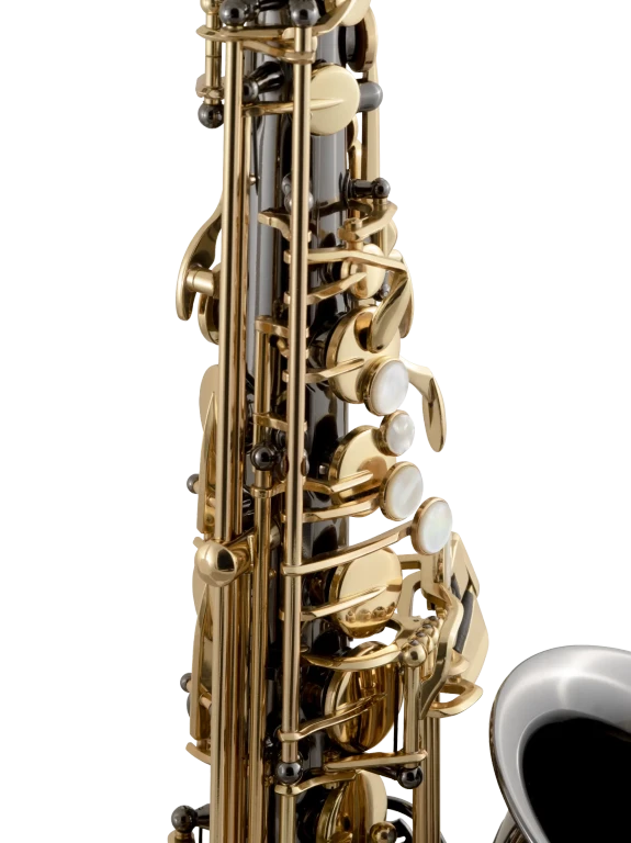 Selmer SAS511b Intermediate Alto Saxophone - Black Nickel Finish