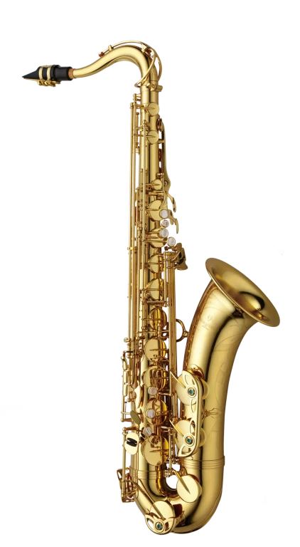 Yanagisawa Professional Tenor Saxophone in B♭ - TWO1