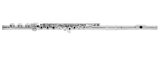 Azumi AZ3SRBO Intermediate Flute